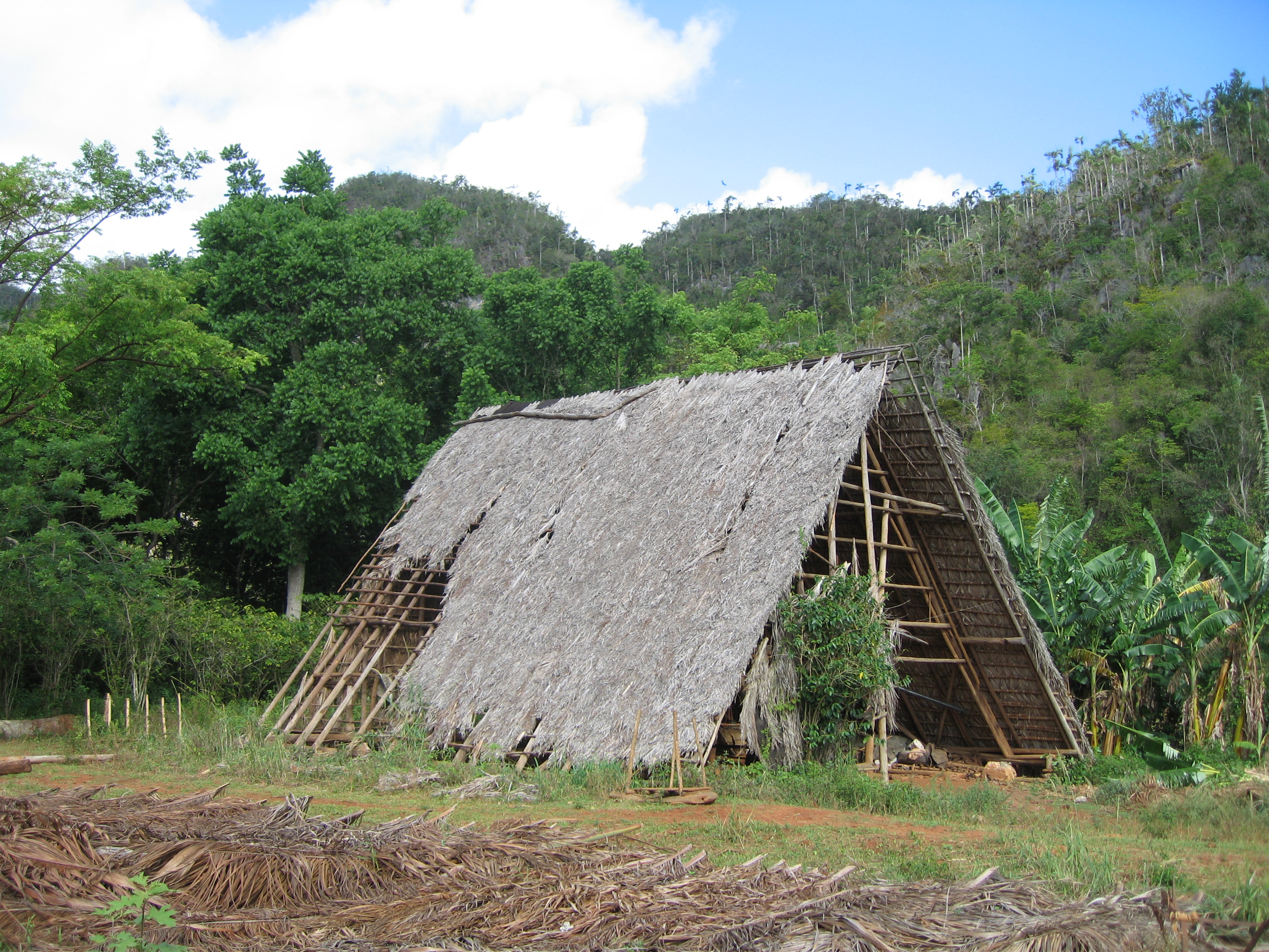 auch im Tal Valle de Viñales