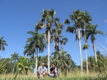 zwei Player, im Botanischen Garten von Cienfuegos