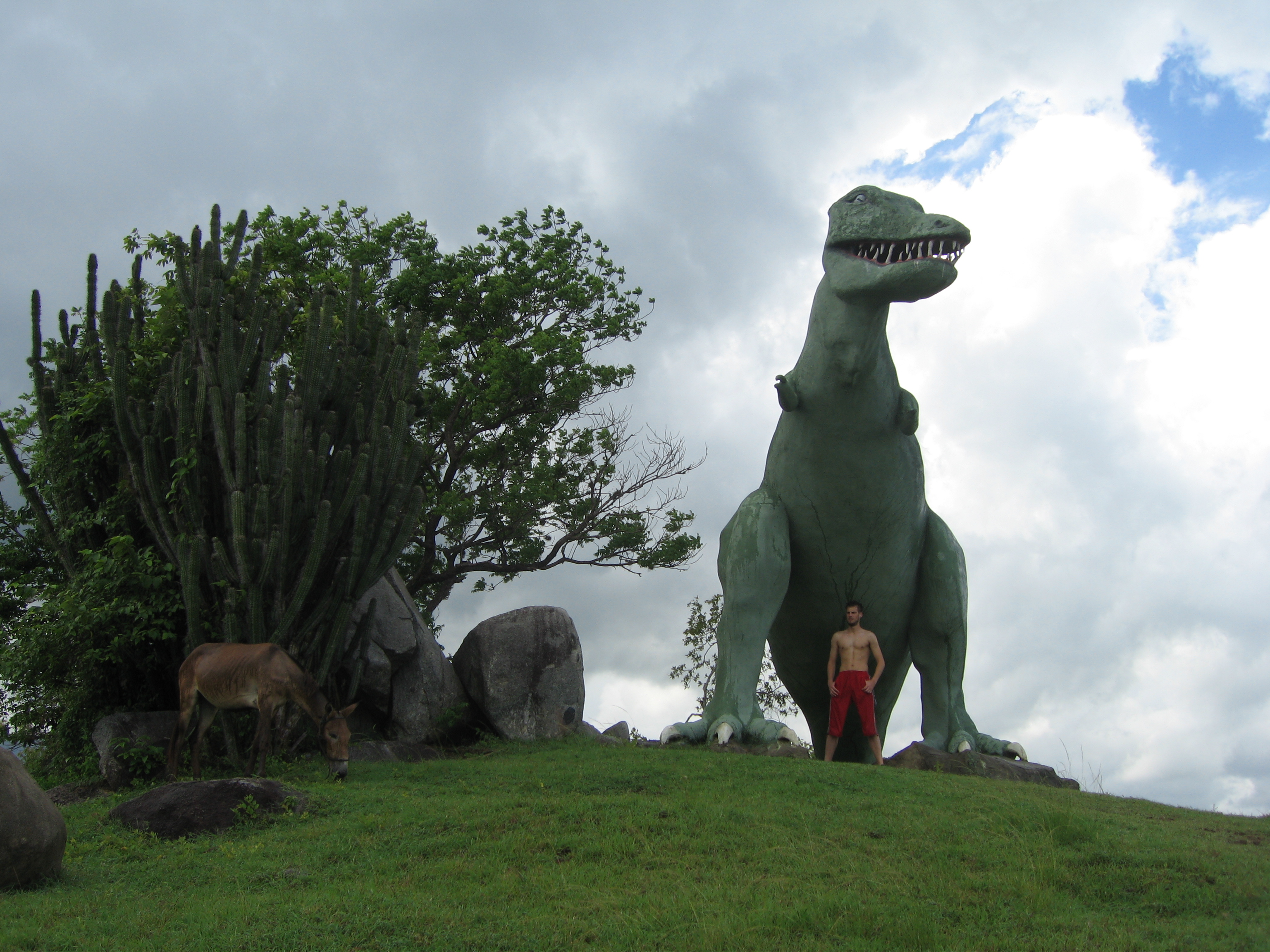 war ein lustiger Tag bei den Dinos