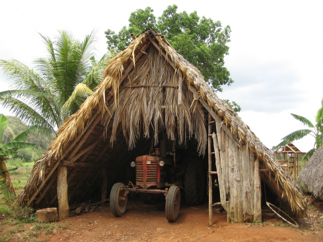 Trecker haben die auch in Viñales, aber arbeiten mehr mit Kühen