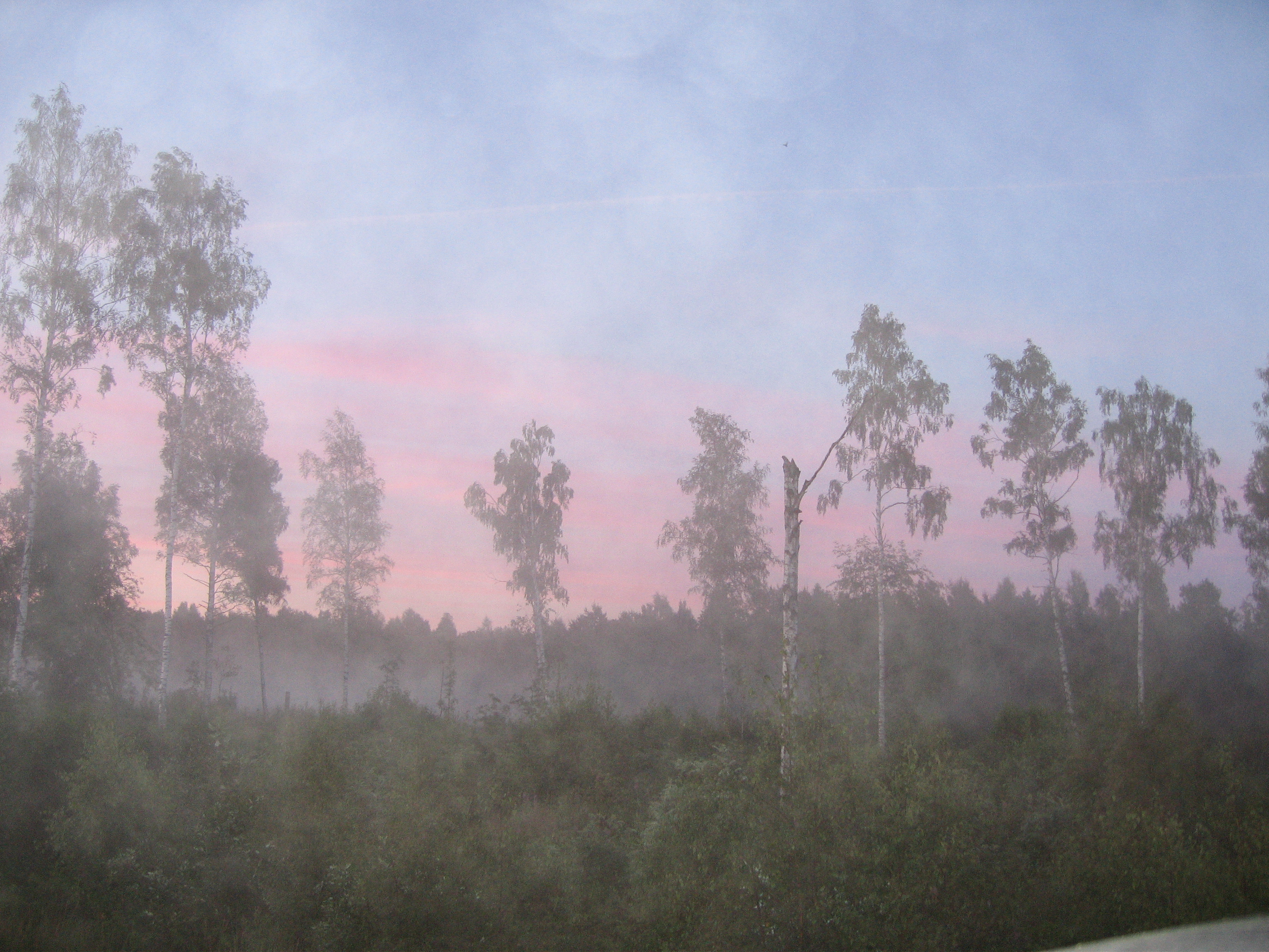 sieht aus wie ein Ölgemälde