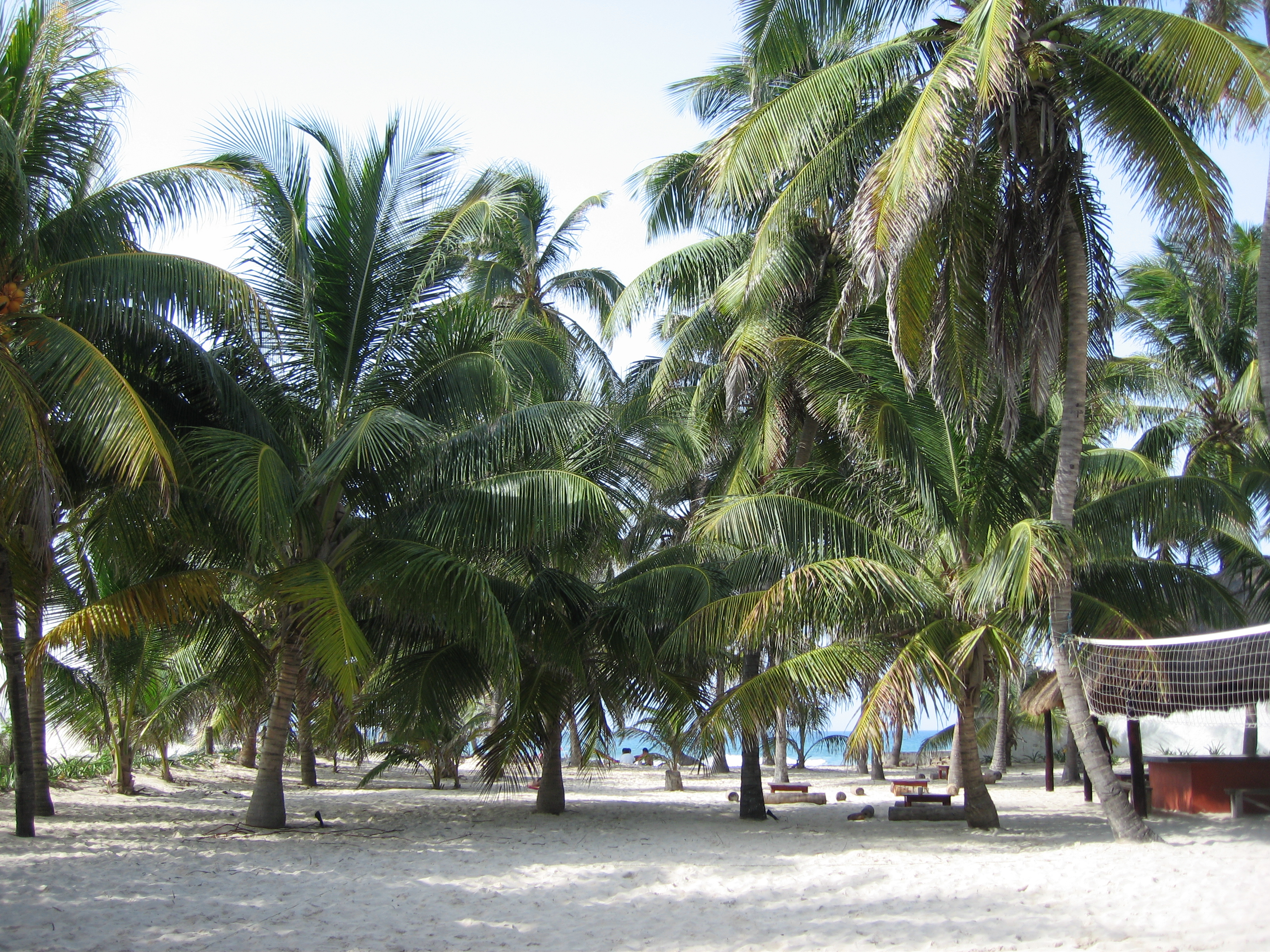 das Grundstück vom und vorm poc na hostel