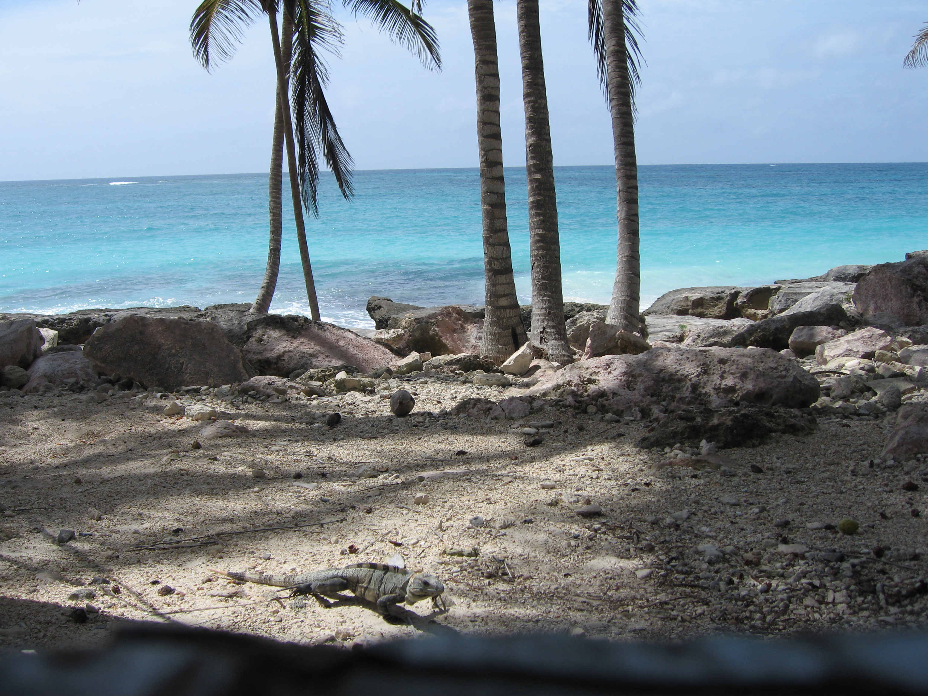 morgens das Fenster auf... ich bin wirklich im Paradies, WO? Tulum, Diamante K, Ich wollte nicht zurück